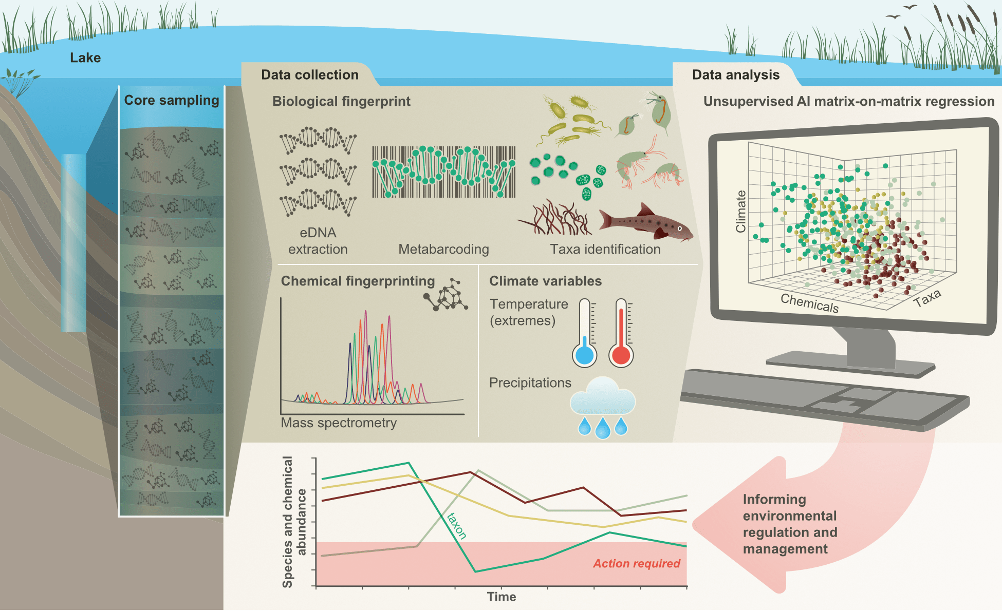 An infographic illustrating the process of data collection and analysis for environmental monitoring in a lake. It includes core sampling, biological fingerprinting (eDNA extraction, metabarcoding, taxa identification), chemical fingerprinting (mass spectrometry), and climate variables (temperature, precipitation). The analysis section features a 3D scatter plot of climate, chemicals, and taxa, along with a graph showing species and chemical abundance over time, emphasizing the need for environmental regulation and management.