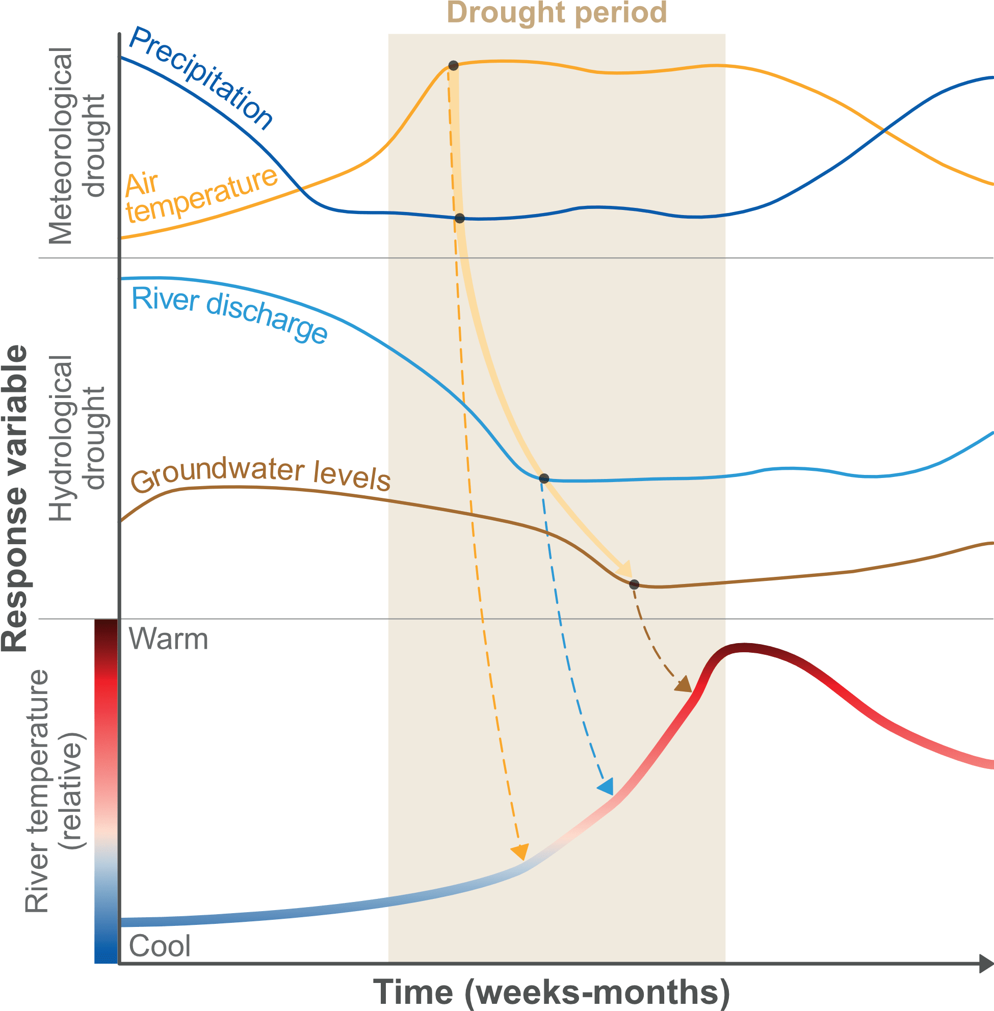A graph displaying multiple data series with different colored lines, illustrating river water temperature responses to meteorological and hydrological drought propagation trends over time.